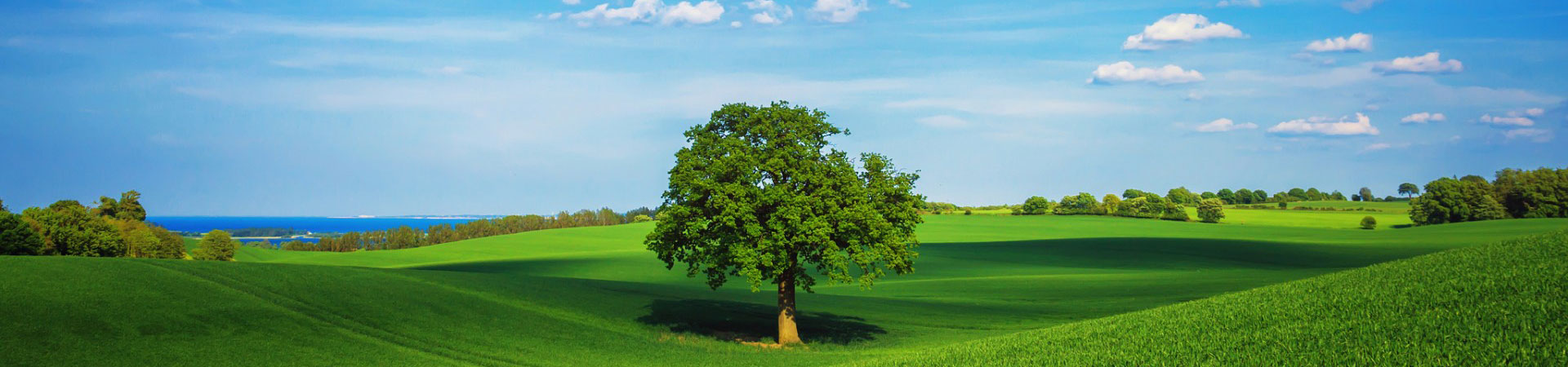 节能降耗优先，绿色低碳发展